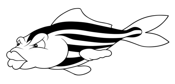 Striped Fish — Stock Photo, Image