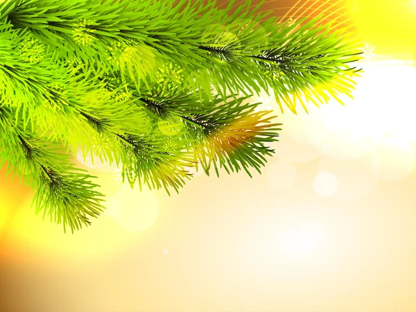 Pine kerstboom — Stockvector