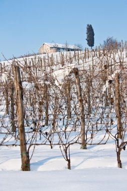 Tuscany: ÜRETIM kışın