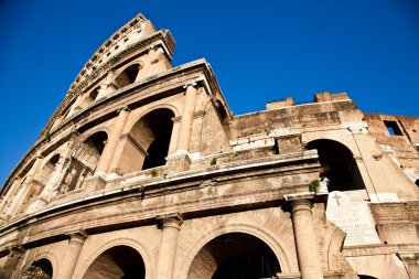 Colosseum mavi gökyüzü ile