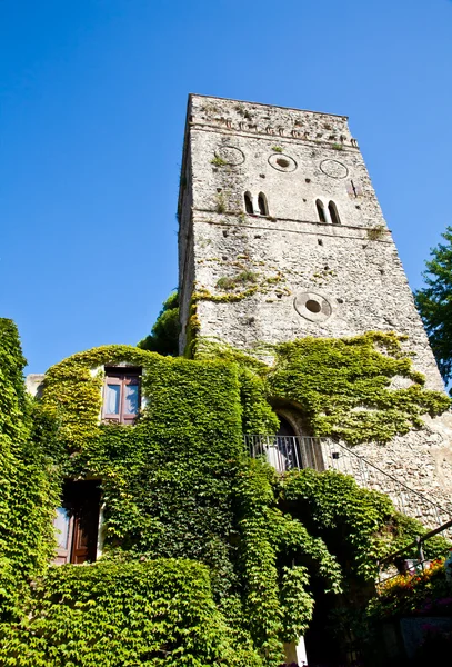 Burg mit Efeu bedeckt — Stockfoto
