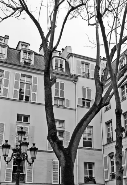 Parigi - Place de Fustemberg — Foto Stock