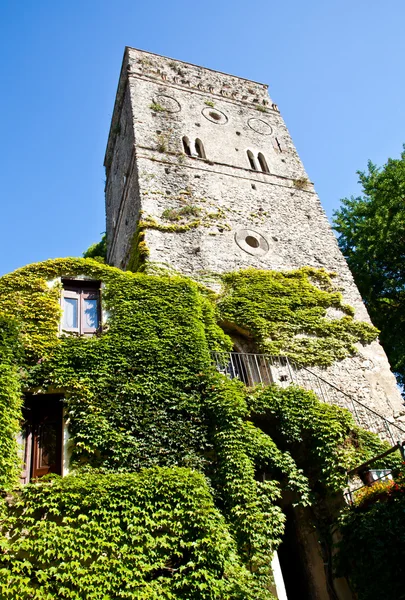 stock image Castle covered by ivy