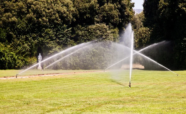 豪华花园: 灌溉 — 图库照片