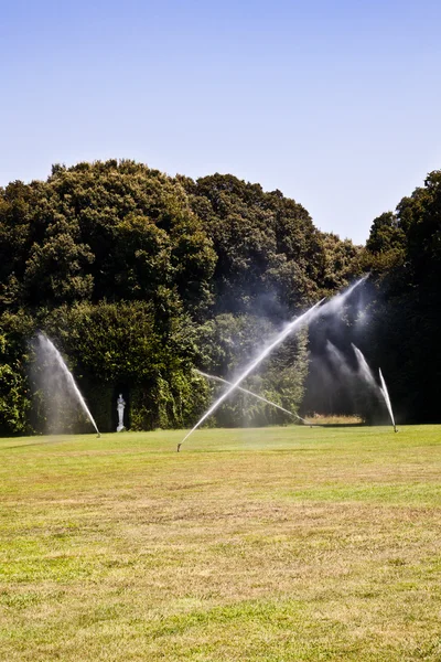 Luxury garden: irrigation — Stock Photo, Image