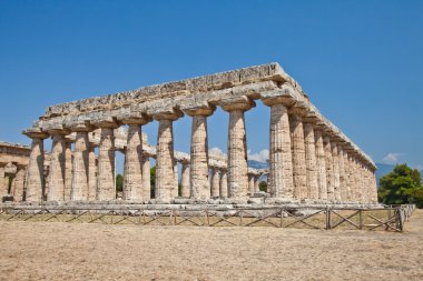 Paestum temple - Italy clipart