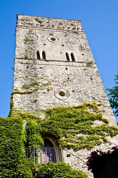 Castle covered by ivy — Stock Photo, Image