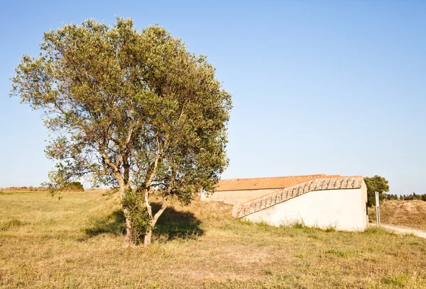 Exterior do túmulo etrusco — Fotografia de Stock