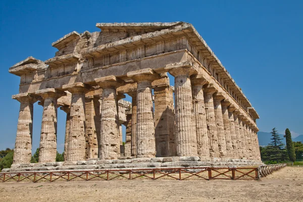 Paestum temple - Италия — стоковое фото