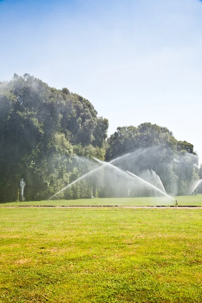 Jardim de luxo: irrigação — Fotografia de Stock