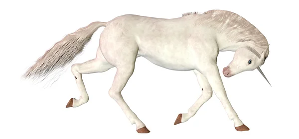 White Unicorn — Stock Photo, Image