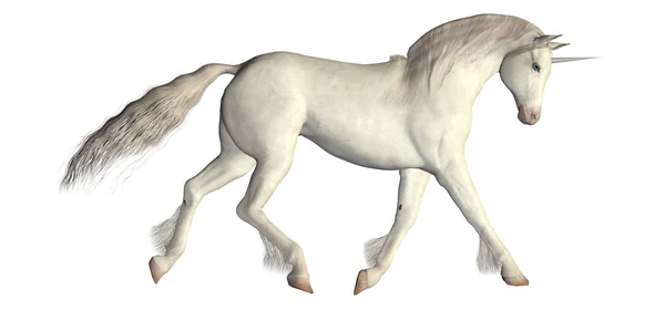 Beyaz unicorn Stok Resim