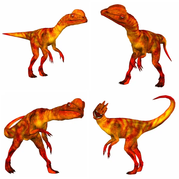 Pacote de Dilophosaurus (Dinossauro) — Fotografia de Stock