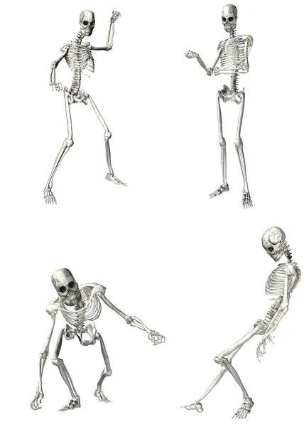 Pacote de esqueleto - 1of2 — Fotografia de Stock