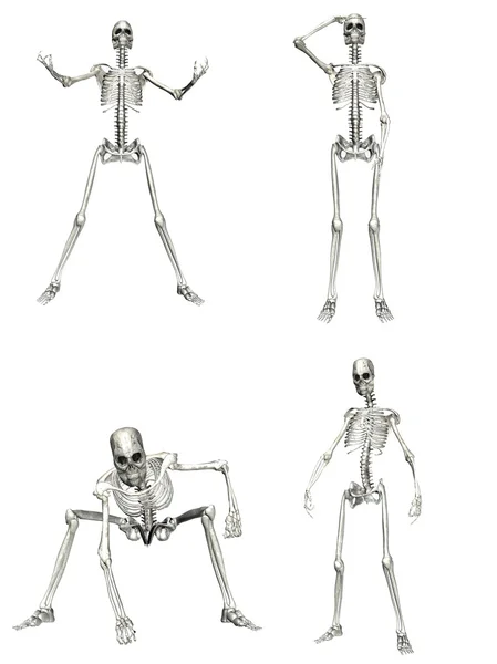 stock image Skeleton Pack - 2of2