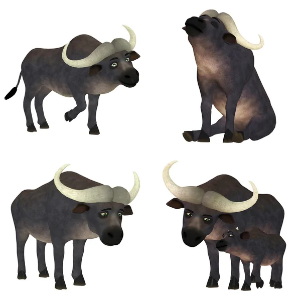 Embalagem de búfalo — Fotografia de Stock