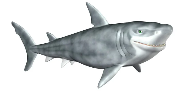 Мультяшная акула — стоковое фото