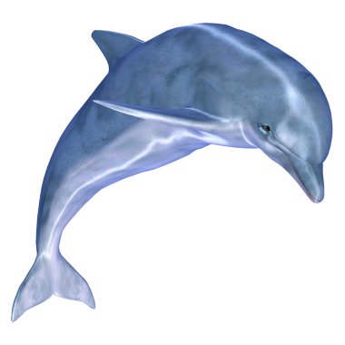 Blue Dolphin clipart