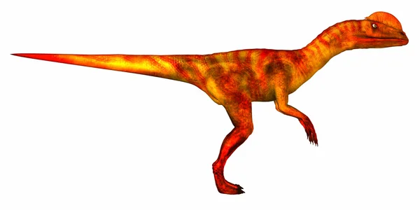 Dilophosaurus — Stok fotoğraf