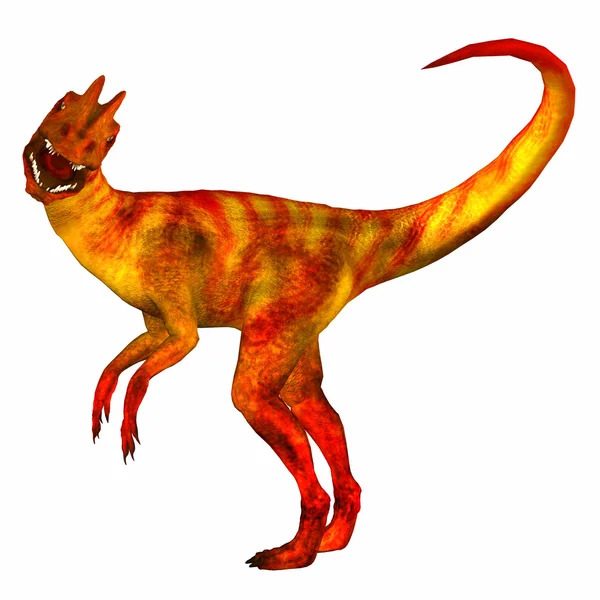 Dilofhosaurus — Stok Foto