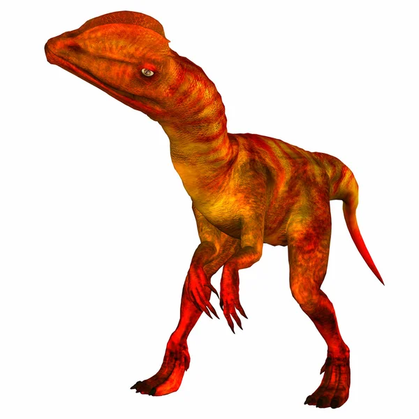 Dilophosaurus — 스톡 사진
