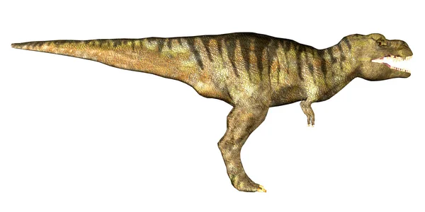 Tyrannosaurus rex (t-rex)) — Stockfoto