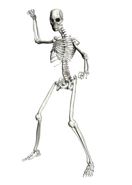 Skeleton — Stock Photo, Image