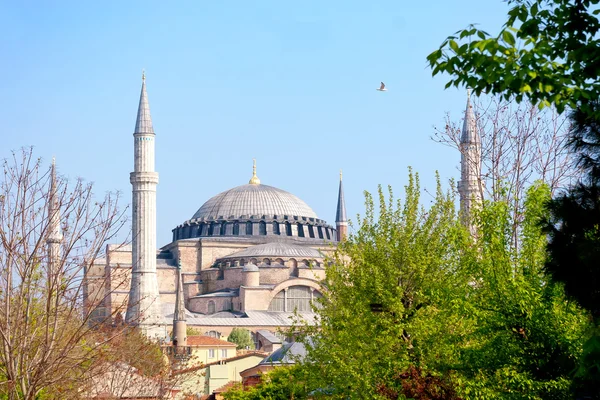 Hagia Sophia på våren — Stockfoto