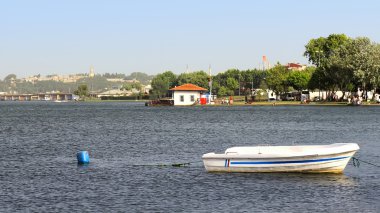 goldenhorn, Türkiye