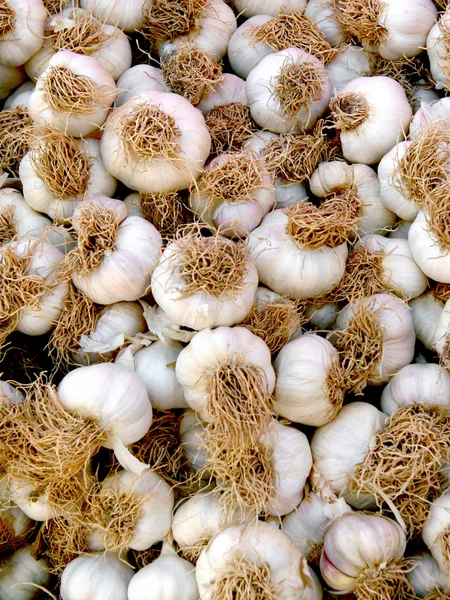 Garlics como fundo — Fotografia de Stock
