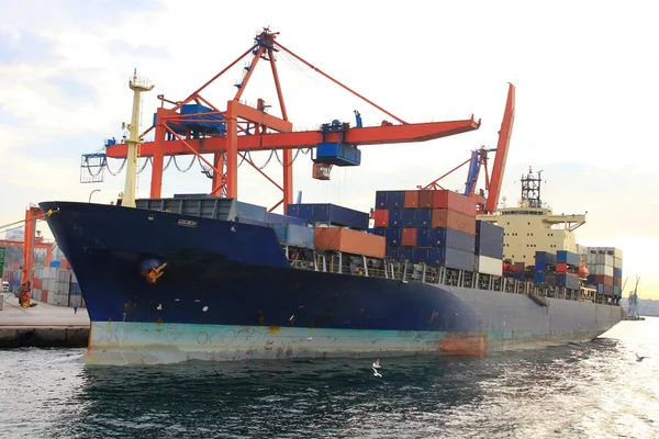 Cargo container ship — Stock Photo, Image