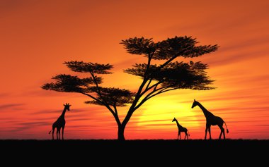 African Sunset clipart