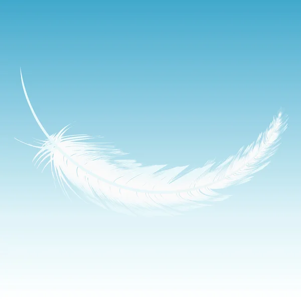 Λευκό φτερό πτώση από τον ουρανό — Φωτογραφία Αρχείου