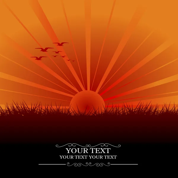 Carte avec coucher de soleil et oiseaux — Image vectorielle