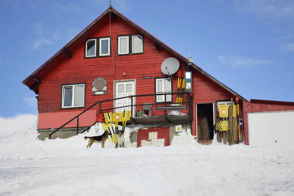 stock image Red house during winter