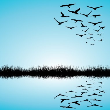 bir göl ve uçan kuş manzara