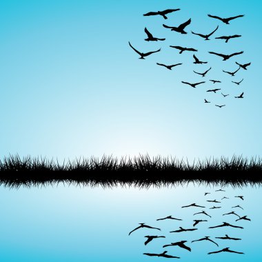 Landscape with a lake and birds flying clipart