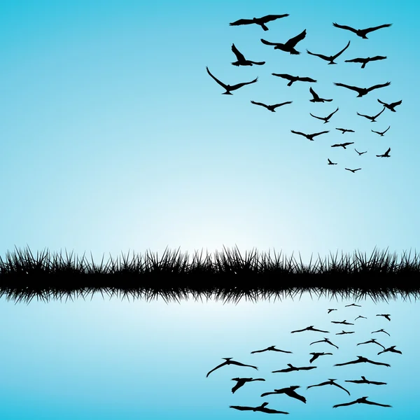 湖と飛んでいる鳥たちを風景します。 — ストックベクタ