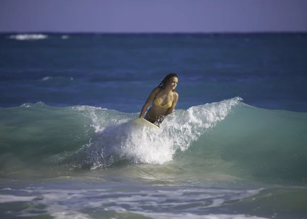 年轻女子在夏威夷冲浪 — 图库照片