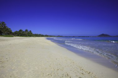 Kailua beach, oahu, hawaii clipart