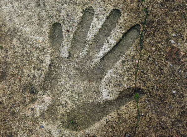 Відбитки рук в цементної Стокове Фото