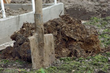 A pile of manure and shovel clipart