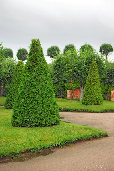 Garten von peterhof in st.petersburg, russland. — Stockfoto
