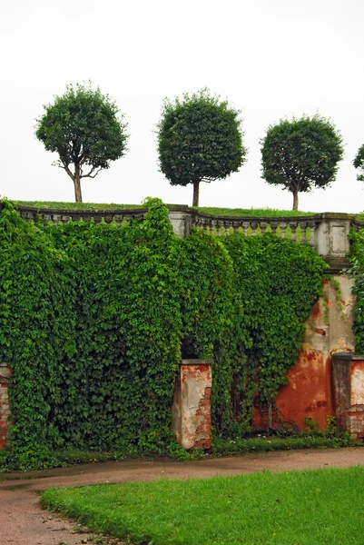 Stock image Garden of Peterhof in St.Petersburg, Russia.