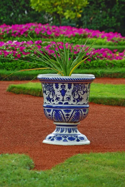 Vase mit Blume als Element der Landschaftsgestaltung — Stockfoto