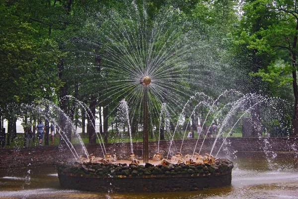 Brunnen "die sonne" in peterhof, st petersburg — Stockfoto