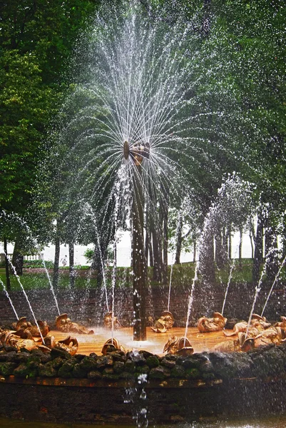 Fontaine "Le Soleil" à Peterhof, Saint-Pétersbourg — Photo