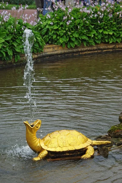 喷泉"海龟"，在彼得 （彼得夏宫），圣彼得堡，俄罗斯 — 图库照片