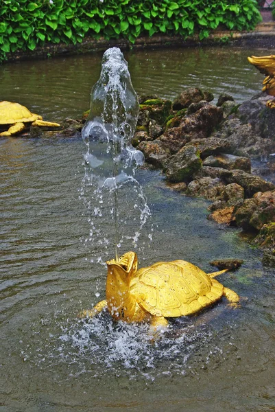 「カメ」ペテルゴフ、サンクトペテルブルクの噴水します。 — ストック写真
