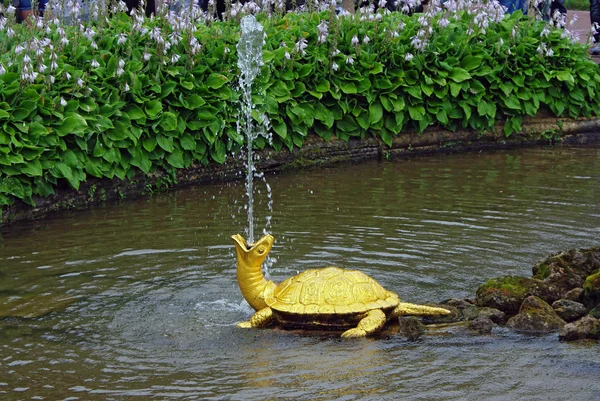 Fontän "turtles" i petrodvorets (peterhof), st petersburg, Ryssland. — Stock fotografie